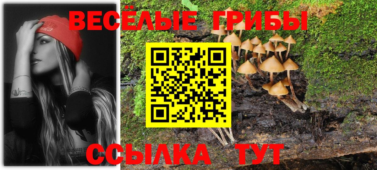 Псилоцибиновые грибы GOLDEN TEACHER  Вход с VPN  Свободный 